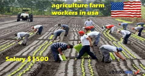 Farm Jobs in the USA