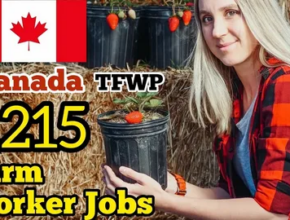Farm Jobs in Canada